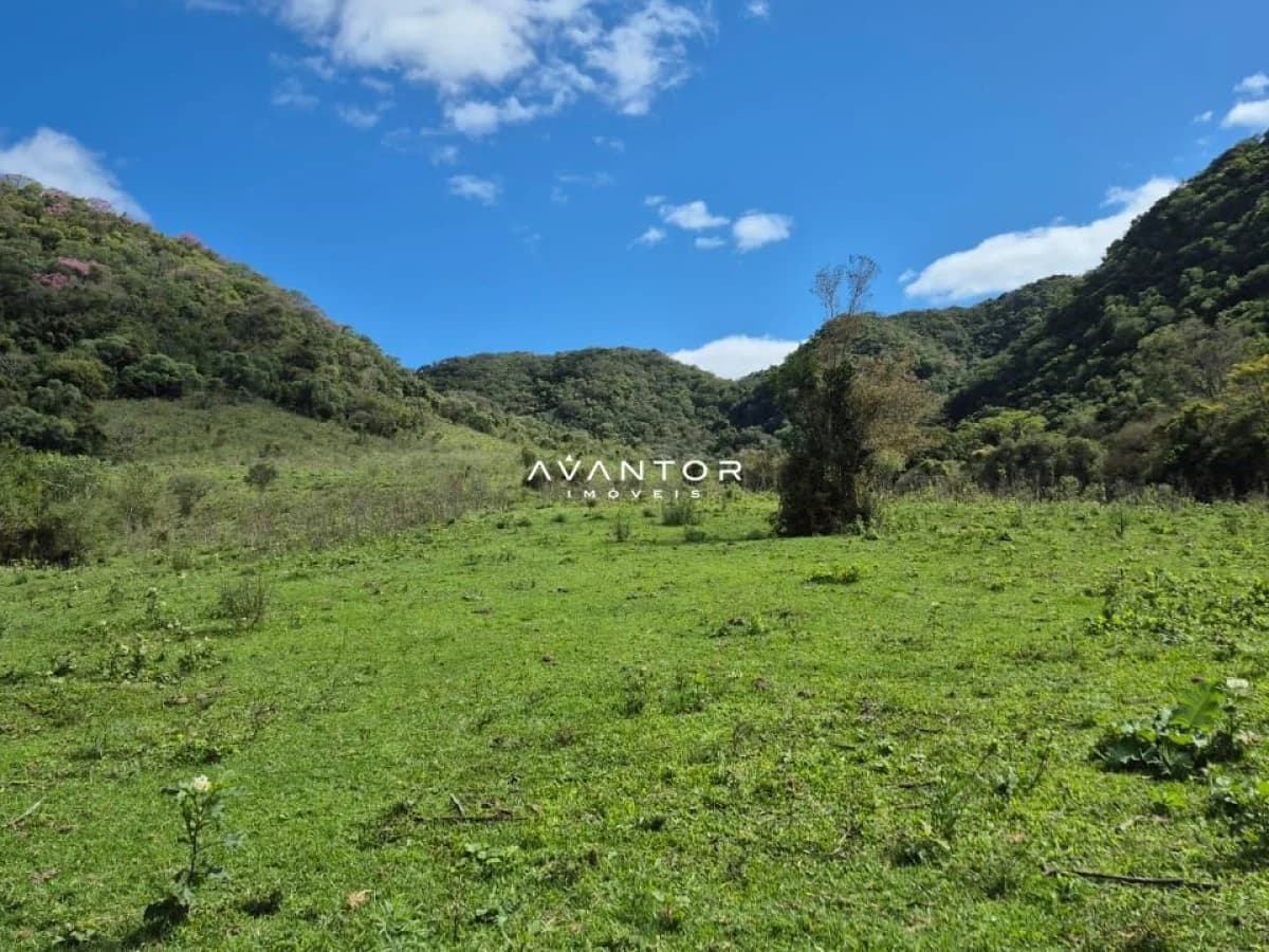 Campo à venda em Zona rural, São Martinho da Serra/RS