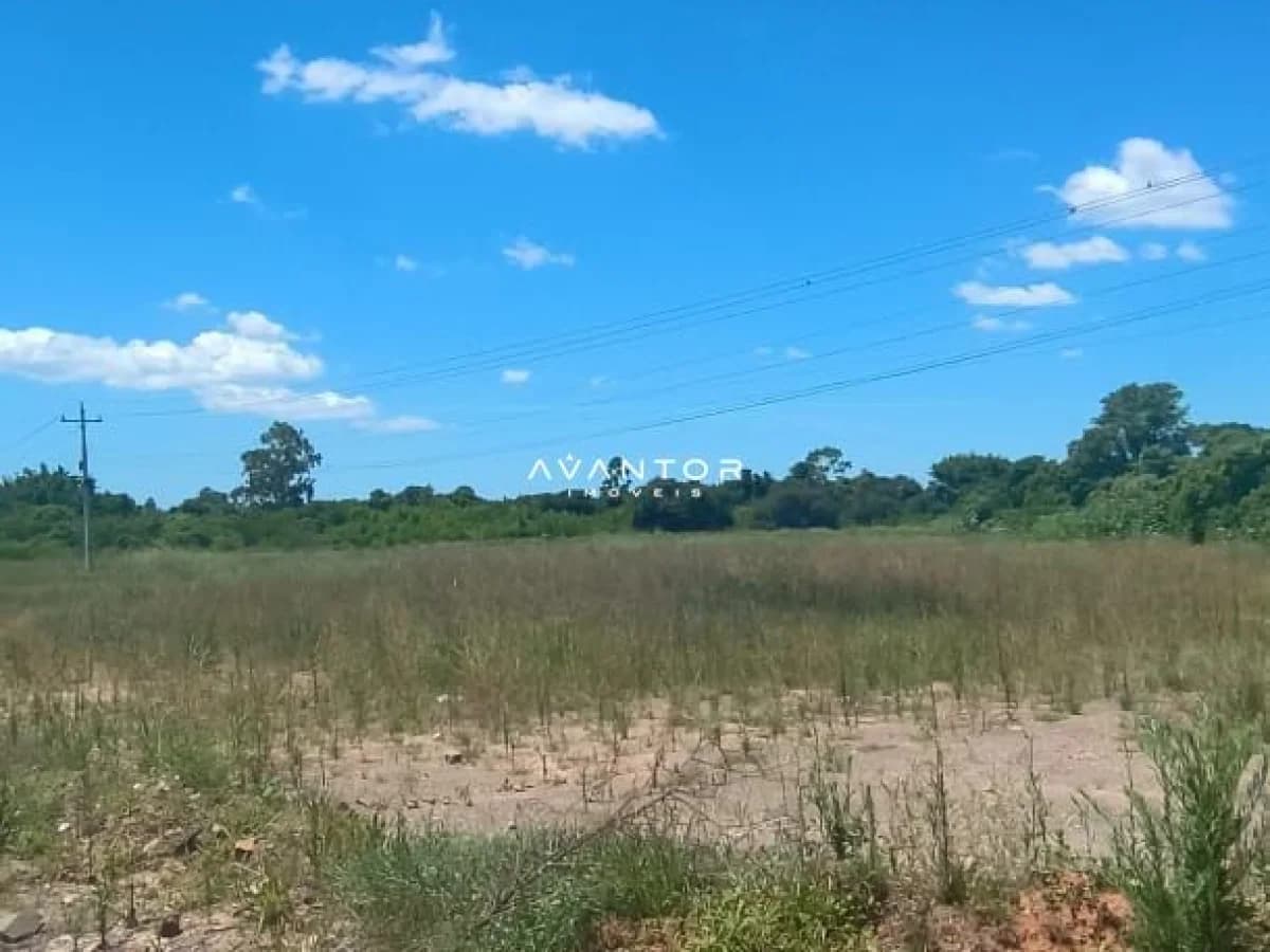 Terreno com vegetação nativa e vista frontal — Terreno à venda em Renascença, Santa Maria/RS