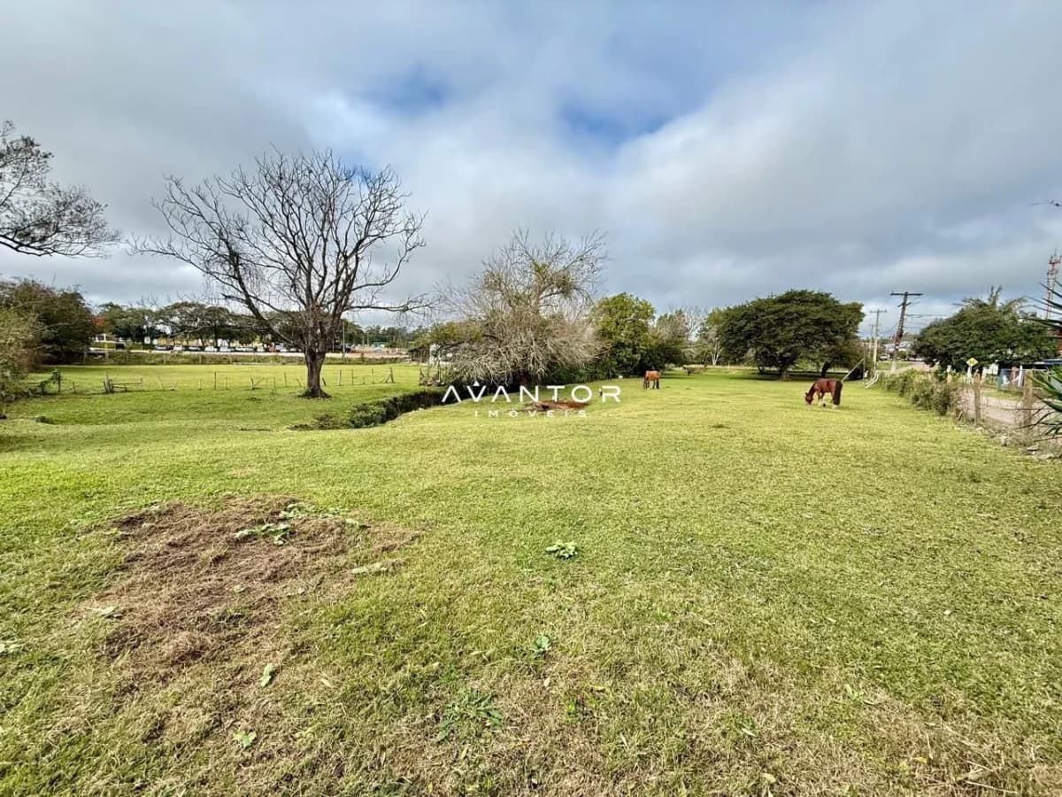 Terreno com áreas verdes e árvores — Terreno à venda em Camobi, Santa Maria/RS