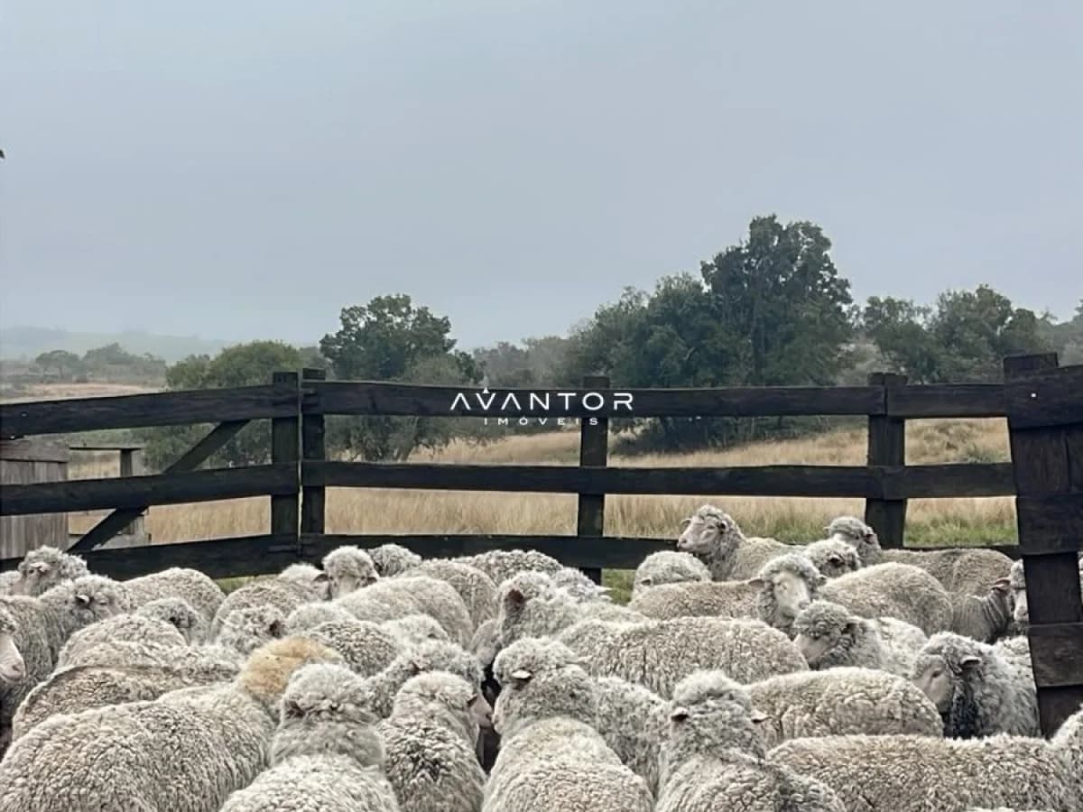 Fazenda com 3 quartos à venda em Zona rural, Santana da Boa Vista/RS
