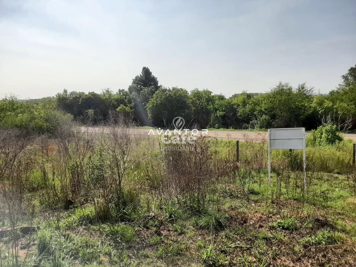 Terreno com vegetação e cerca — Terreno à venda em Tancredo Neves, Santa Maria/RS