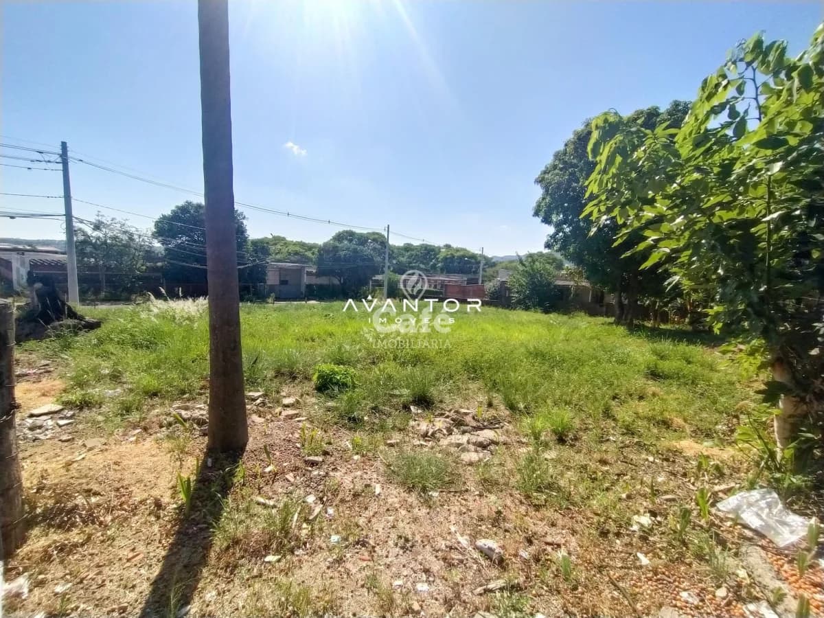 Terreno com vegetação e cerca viva — Terreno à venda em Nossa Senhora do Rosário, Santa Maria/RS