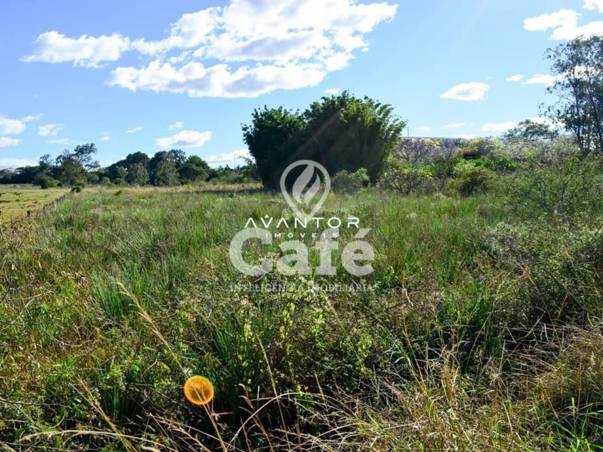 Terreno com vegetação nativa e céu aberto — Terreno à venda em Pinheiro Machado, Santa Maria/RS