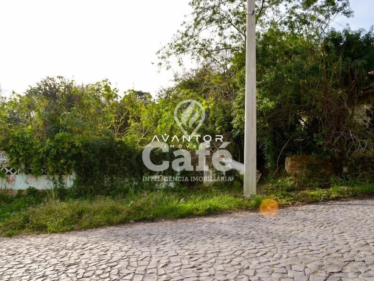 Terreno com vegetação e acesso pavimentado — Terreno à venda em Nossa Senhora do Rosário, Santa Maria/RS